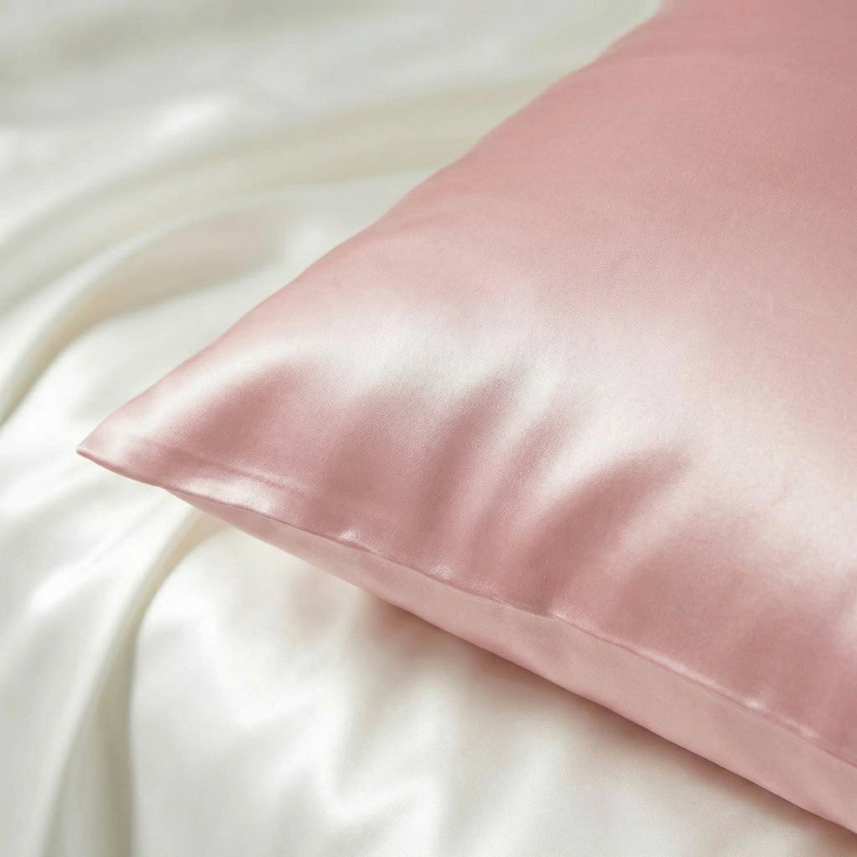 Pétale de Rose
